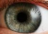 Das Auge Das Auge