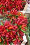 Chili