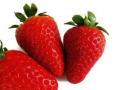Erdbeeren