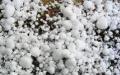 Hagel