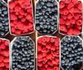 Himbeeren und Blaubeeren