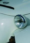 Wei�er Jaguar