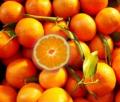 Mandarinen
