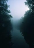 Nebel