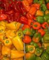 Paprika