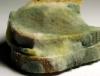 Schimmliges Brot