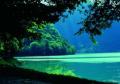 Sommer am See