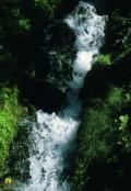 Wasser