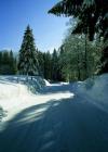 Weg im Winter
