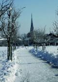 Winter