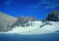Sport im Winter