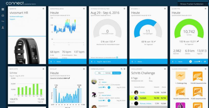 Garmin Connect Übersicht am Computer