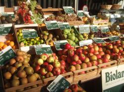 Bio Obst und Gemüse an einem Marktstand