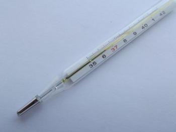 Fieberthermometer