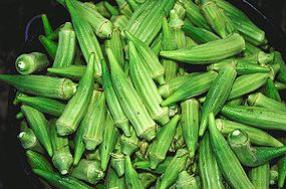 Okra