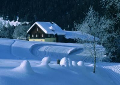 Schnee im Winter