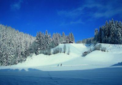 Sport im Winter